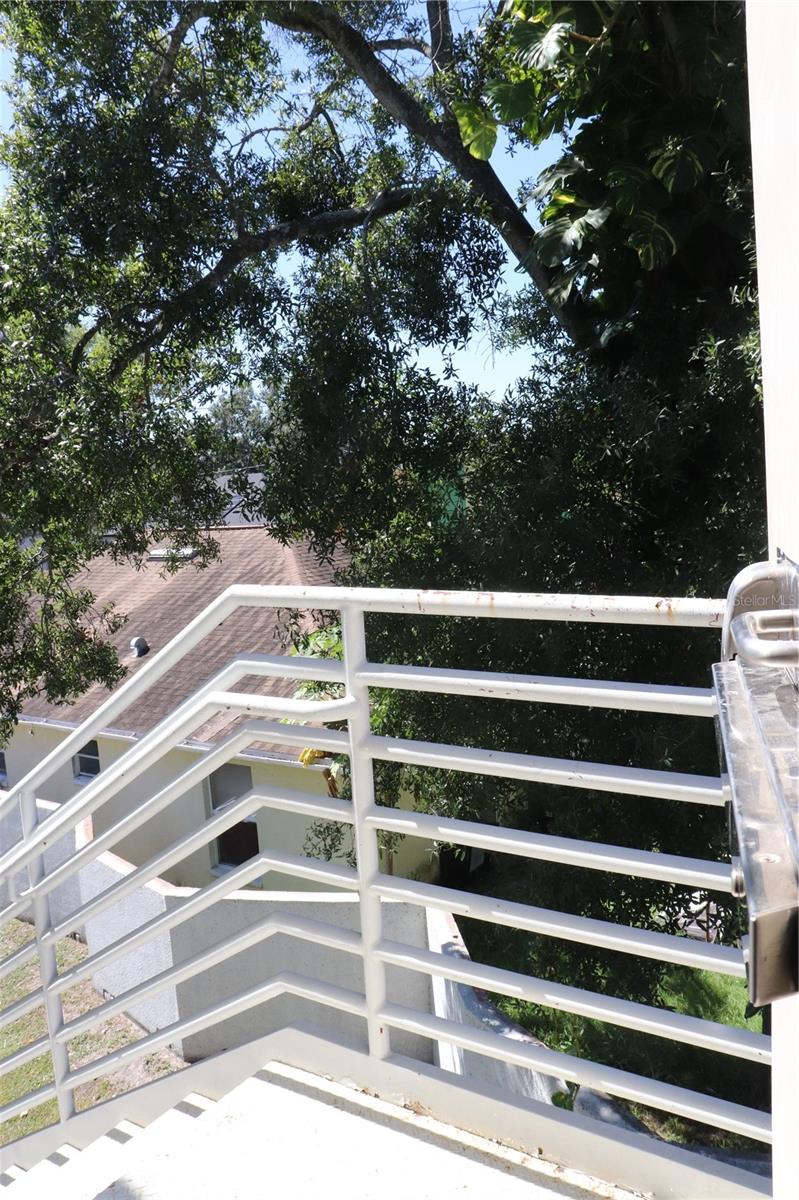 5352 N Habana Ave #c Property Photo 33