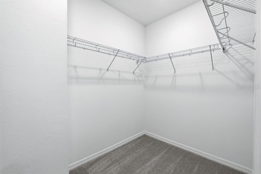 13502 Tropical Breeze Way Property Photo 20