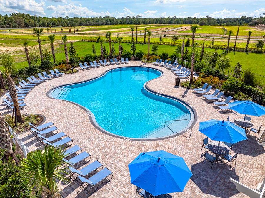13502 Tropical Breeze Way Property Photo 33