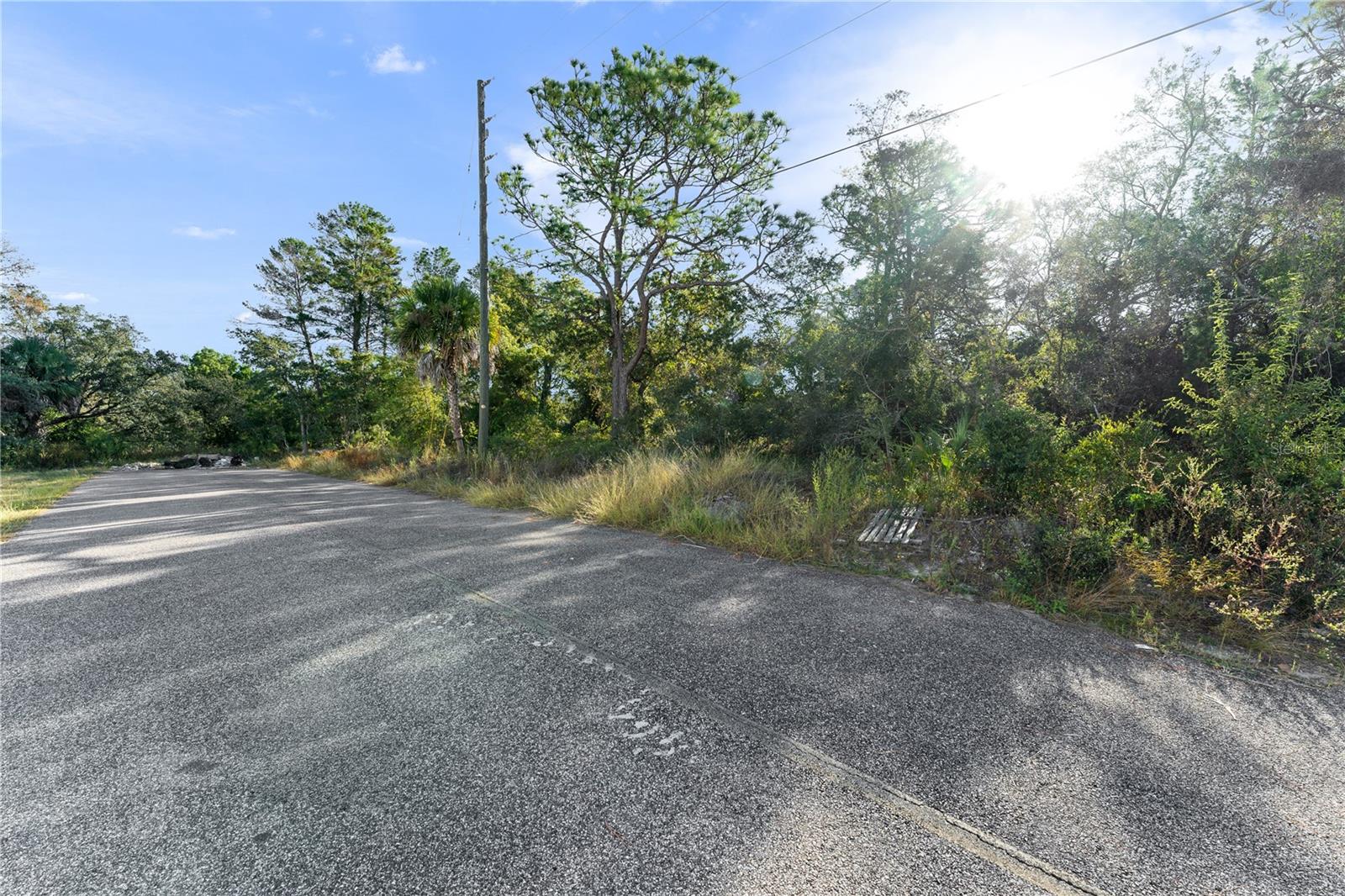 3560 Diagonal Ln Property Photo 4