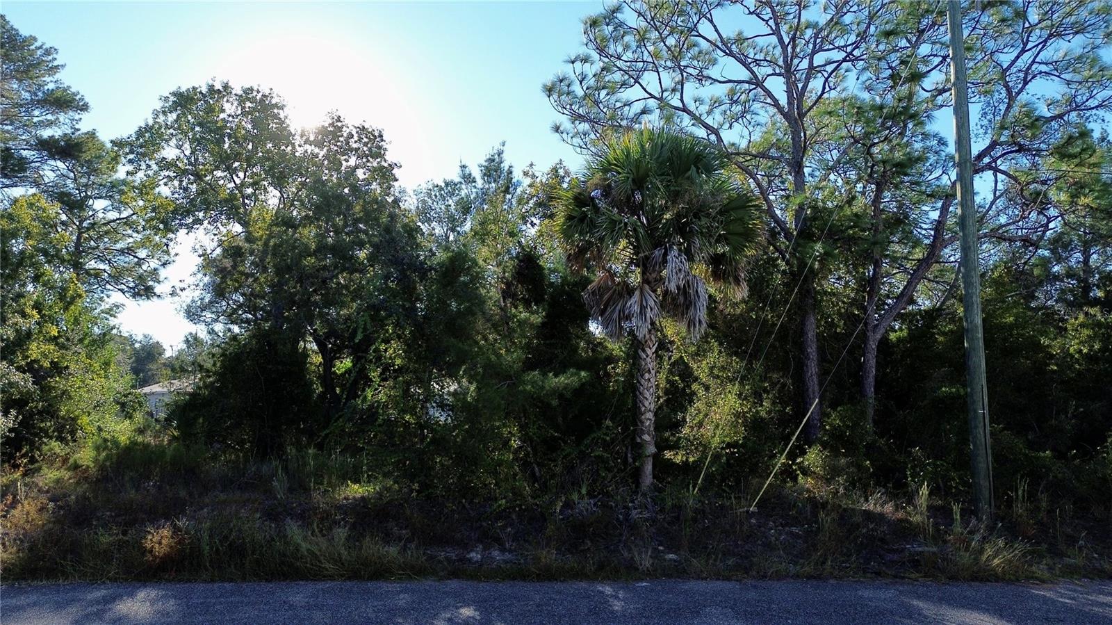 3560 Diagonal Ln Property Photo 8