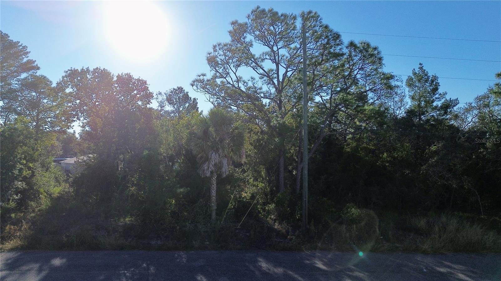 3560 Diagonal Ln Property Photo 10
