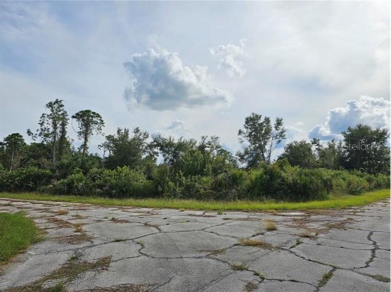 Lot 1 HINSHAW AVE Property Photo 1