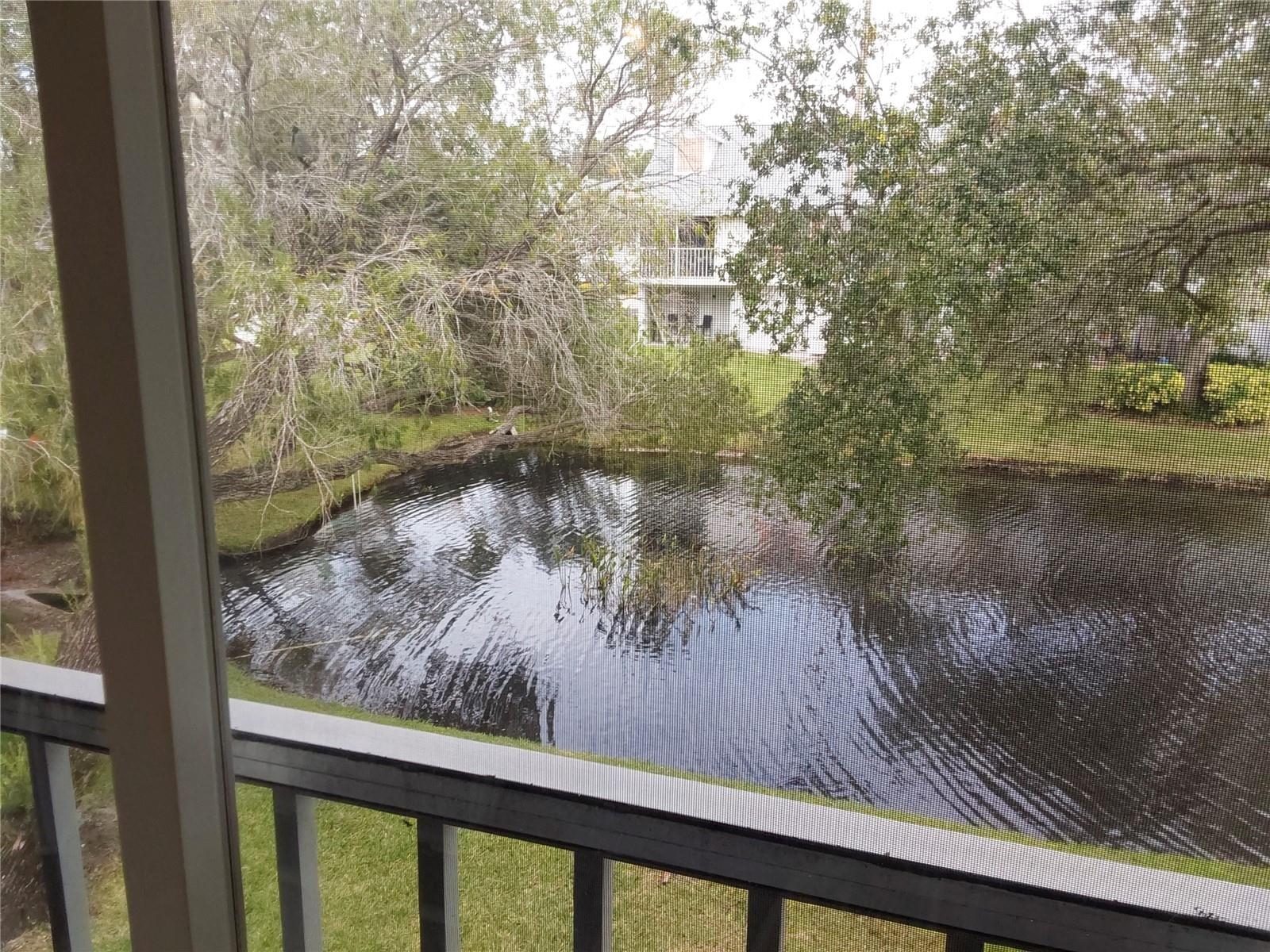 153 Sun Isle Cir Property Photo 32