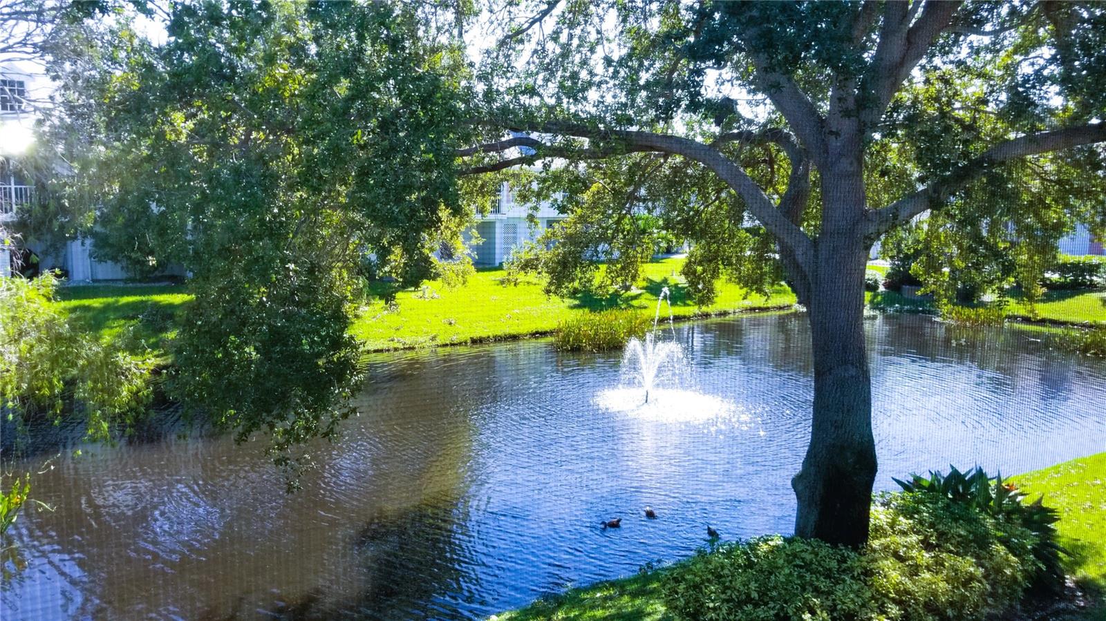 153 Sun Isle Cir Property Photo 33
