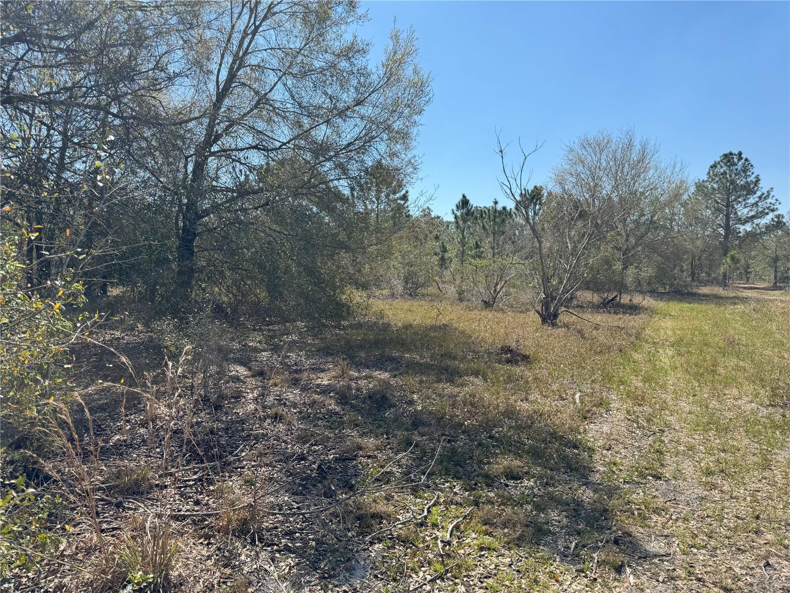 0 Lake Buffum Rd Property Photo 4