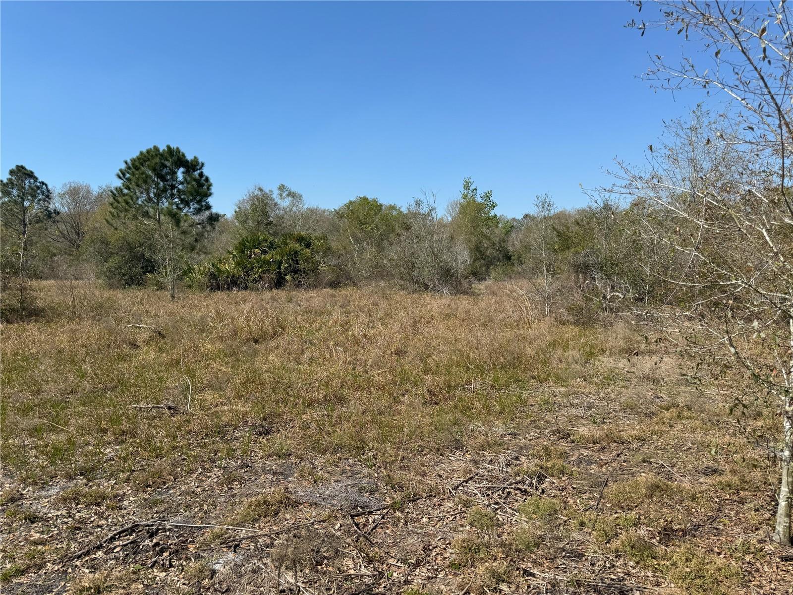 0 Lake Buffum Rd Property Photo 5