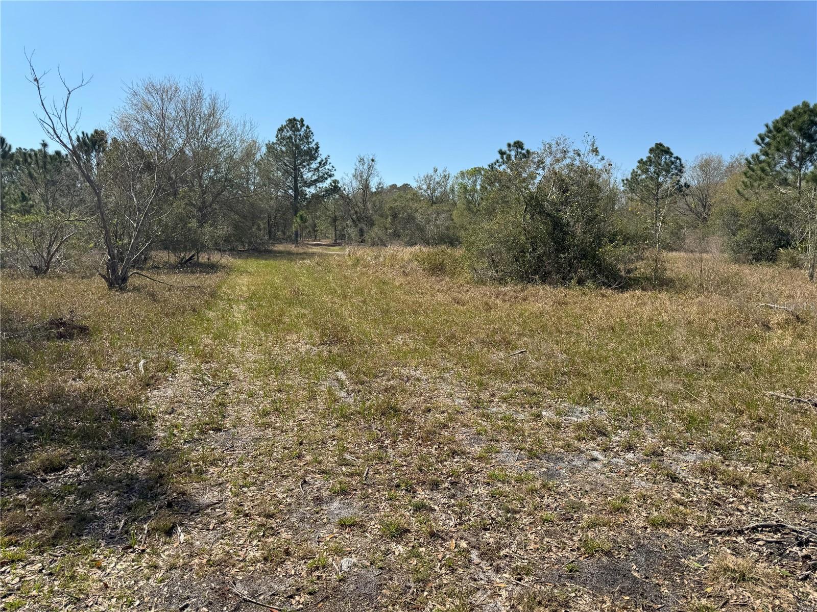 0 Lake Buffum Rd Property Photo 6