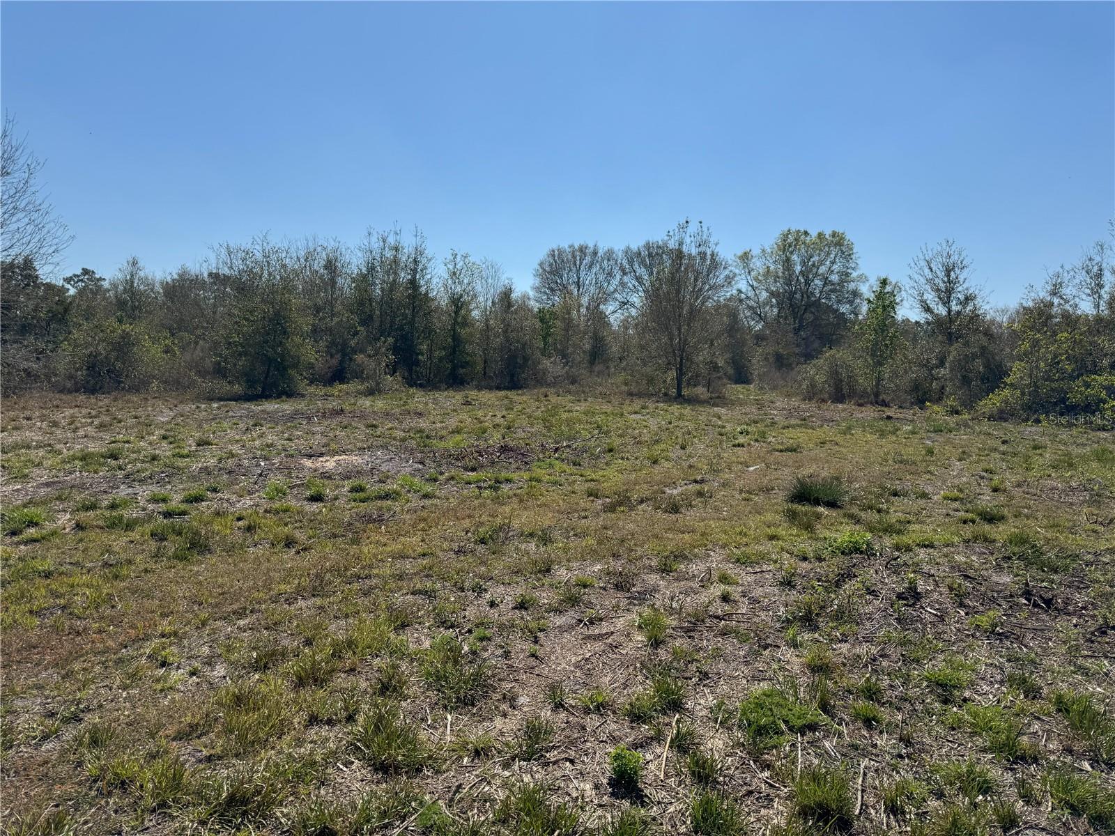 0 Lake Buffum Rd Property Photo 7