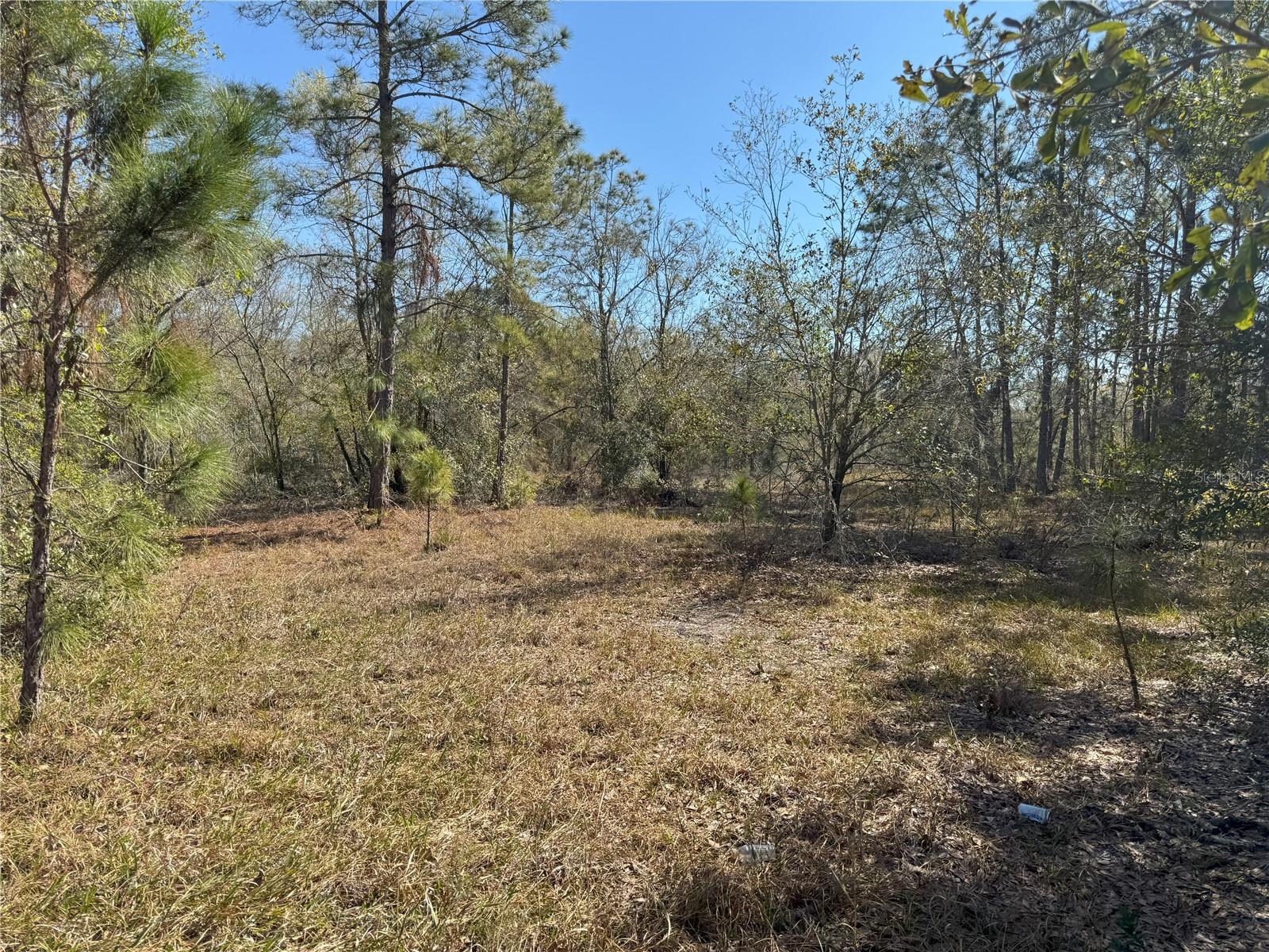 0 Lake Buffum Rd Property Photo 8