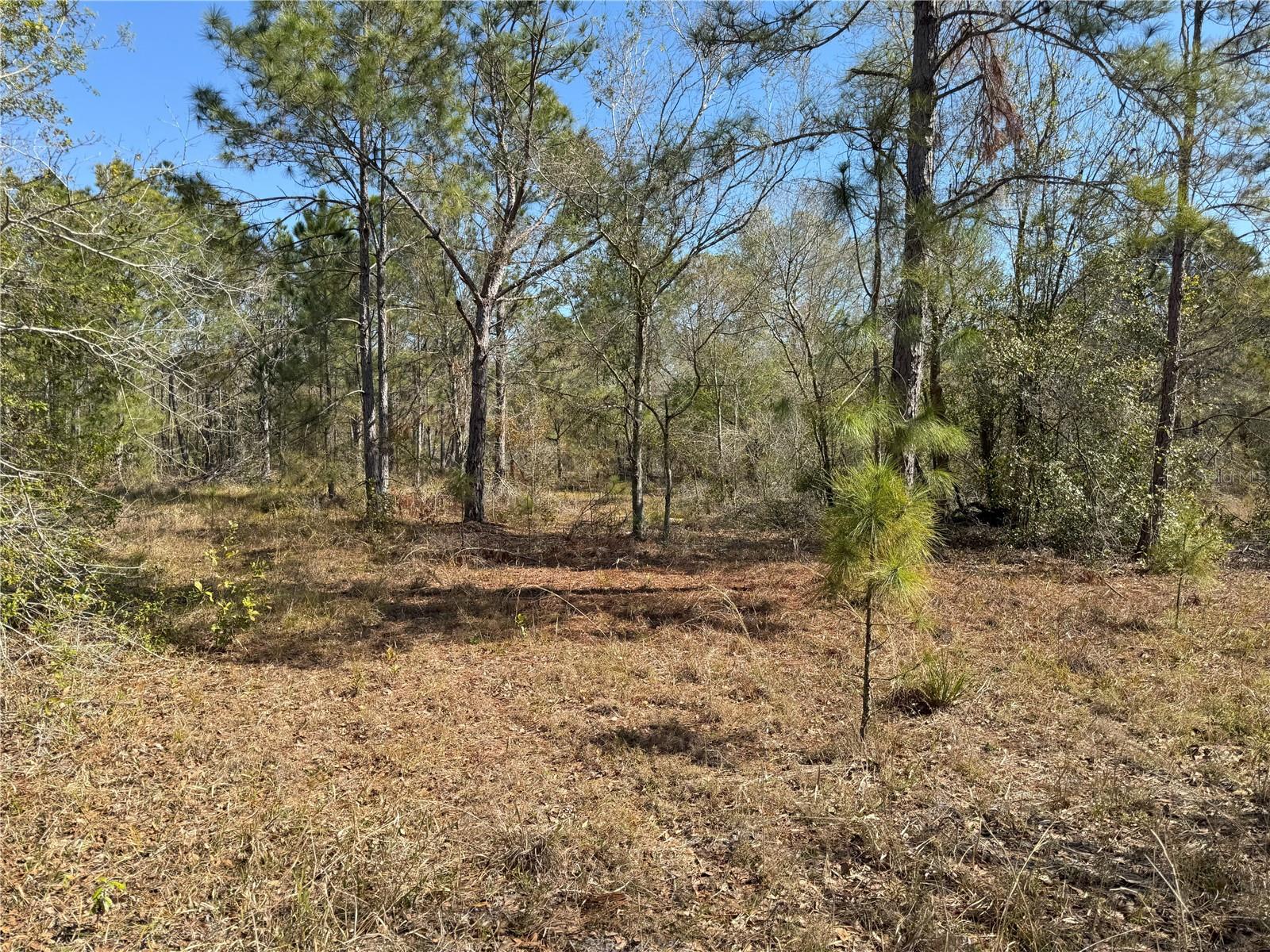 0 Lake Buffum Rd Property Photo 9