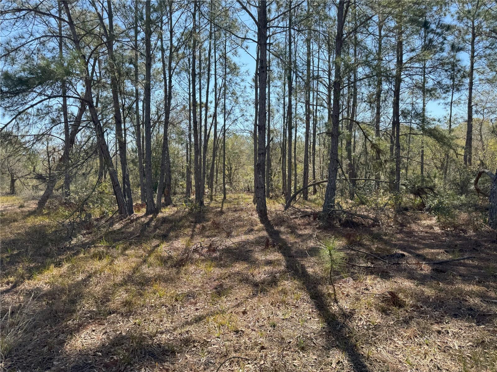 0 Lake Buffum Rd Property Photo 10