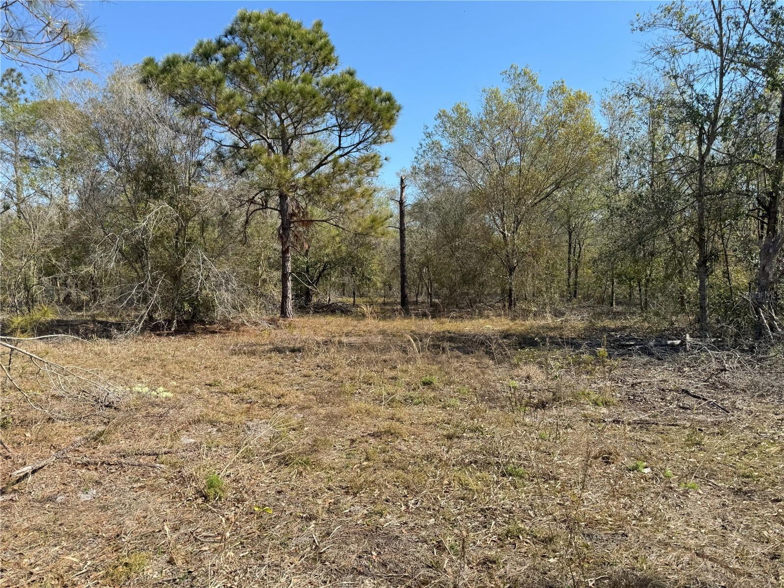 0 Lake Buffum Rd Property Photo 11