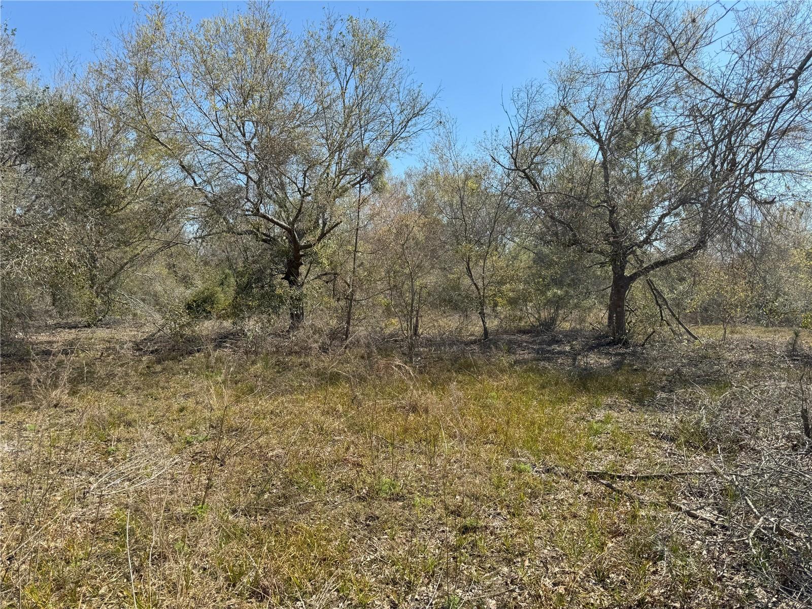 0 Lake Buffum Rd Property Photo 12