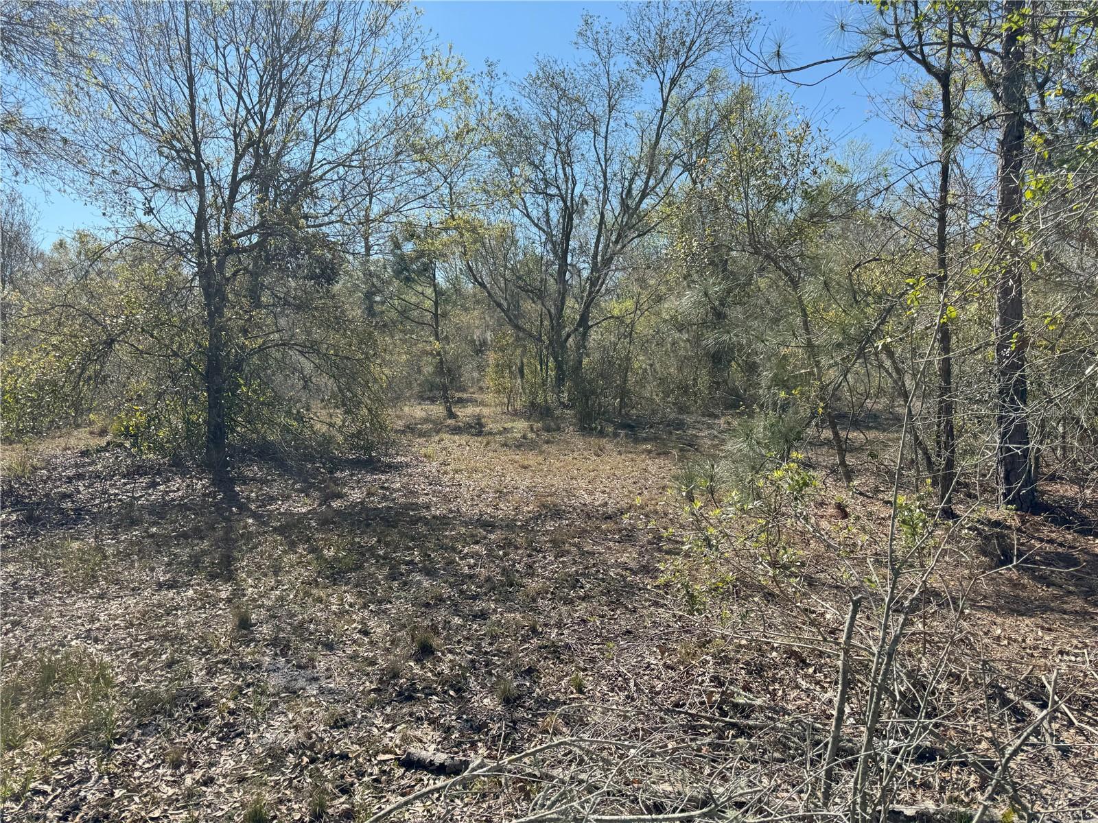 0 Lake Buffum Rd Property Photo 13