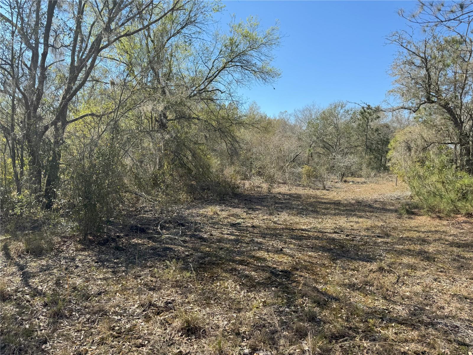 0 Lake Buffum Rd Property Photo 14