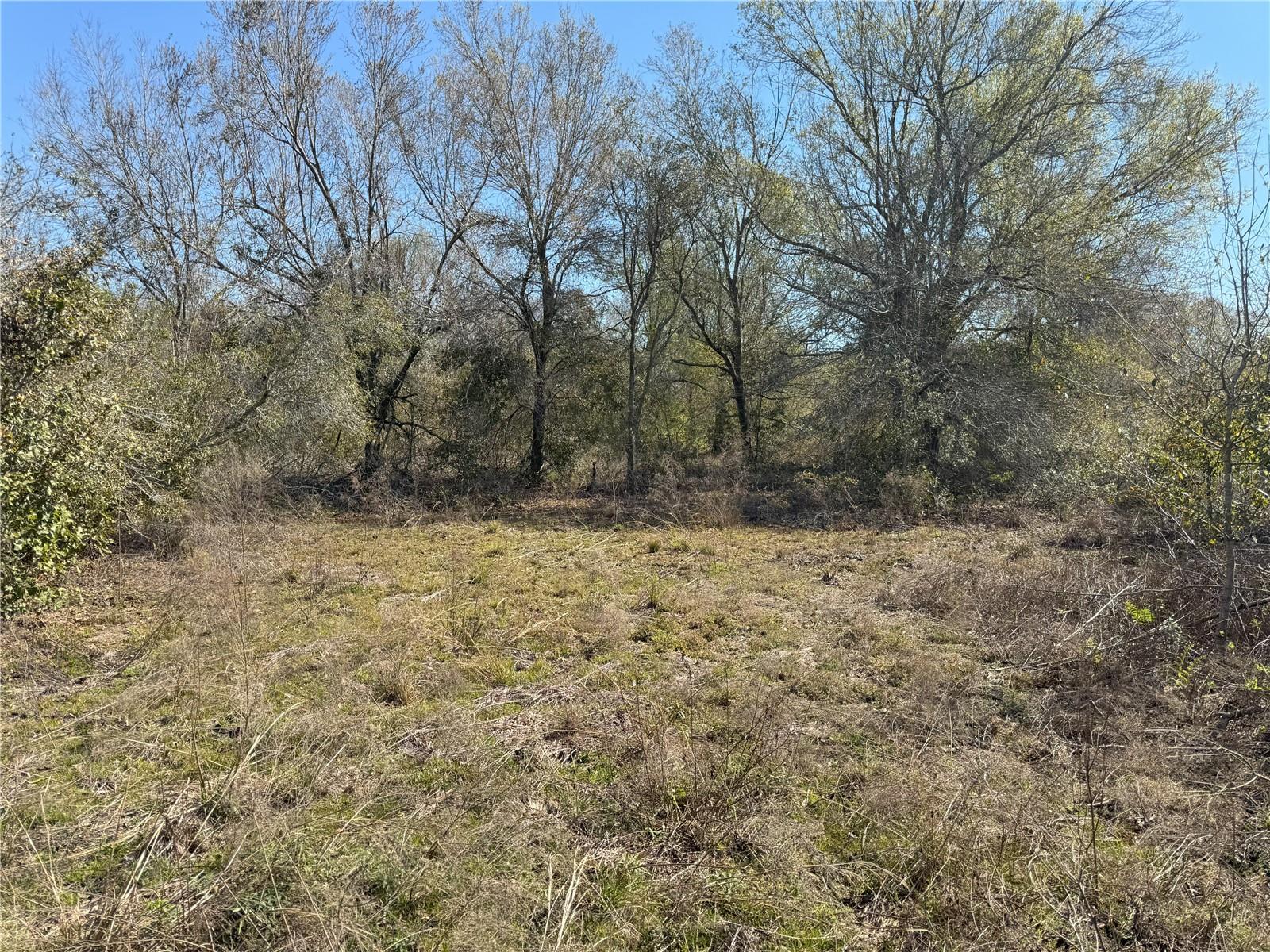0 Lake Buffum Rd Property Photo 15