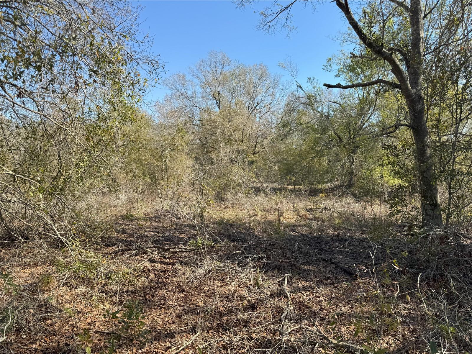 0 Lake Buffum Rd Property Photo 16