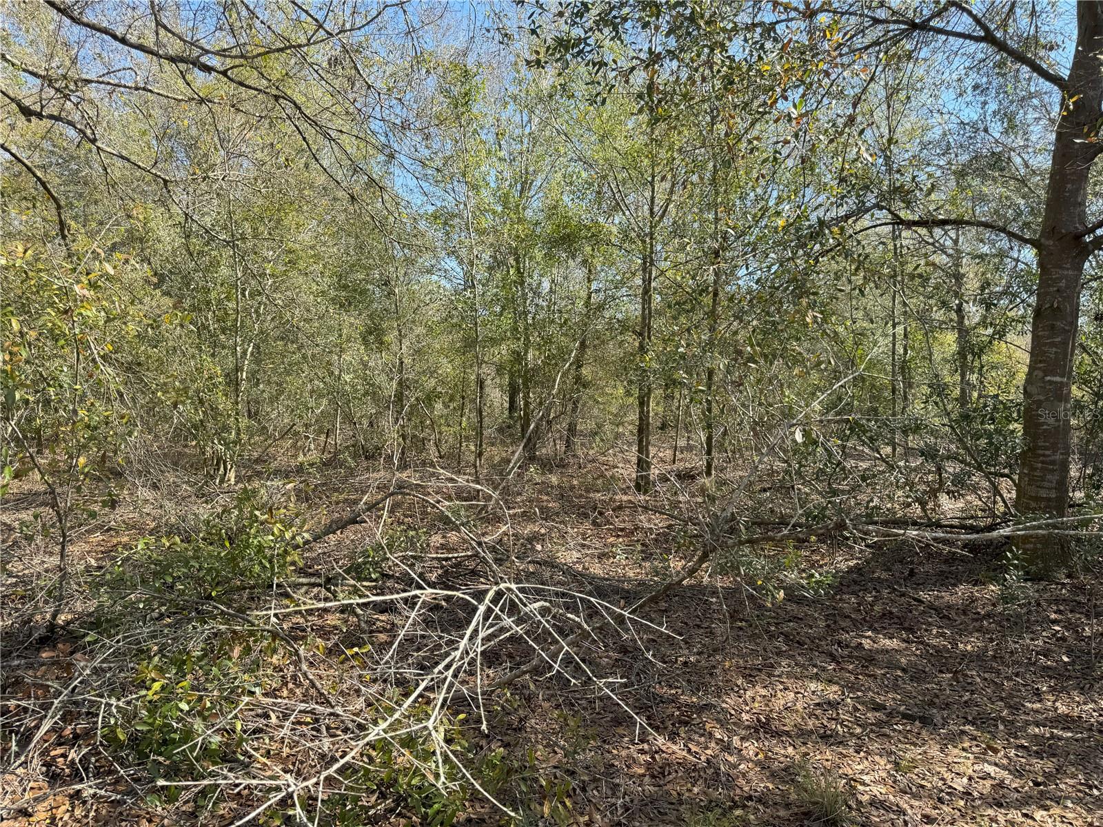 0 Lake Buffum Rd Property Photo 17