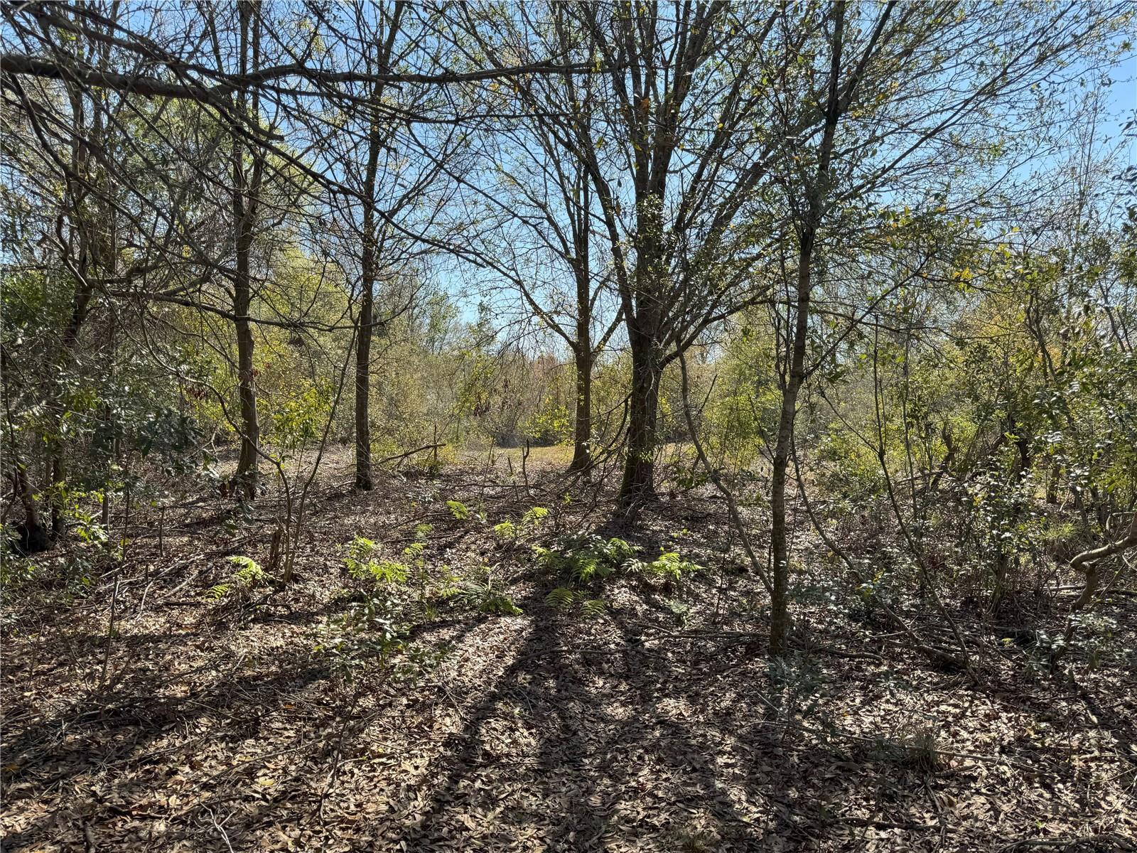 0 Lake Buffum Rd Property Photo 18