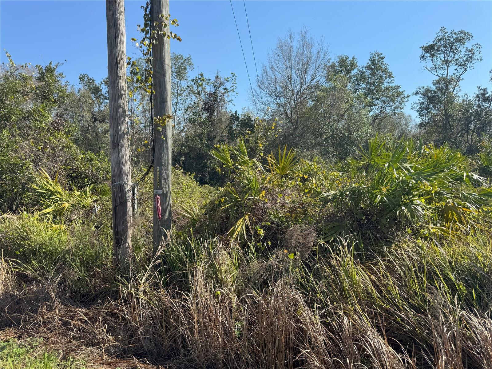 0 Lake Buffum Rd Property Photo 21