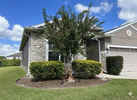 1435 Daystar Ln Property Photo 4