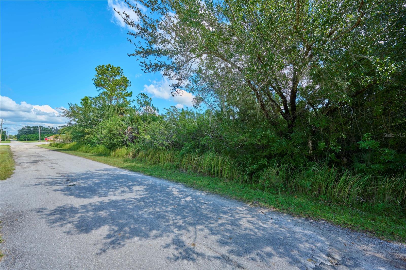 2 Amaryllis Dr Property Photo 6