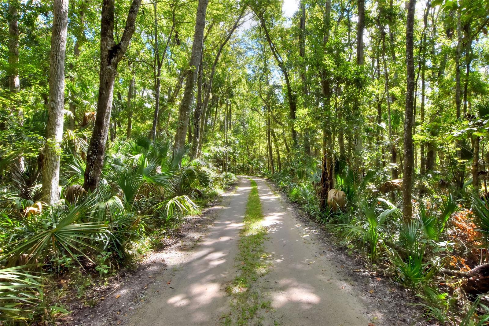 Pine Island Dr Property Photo 1