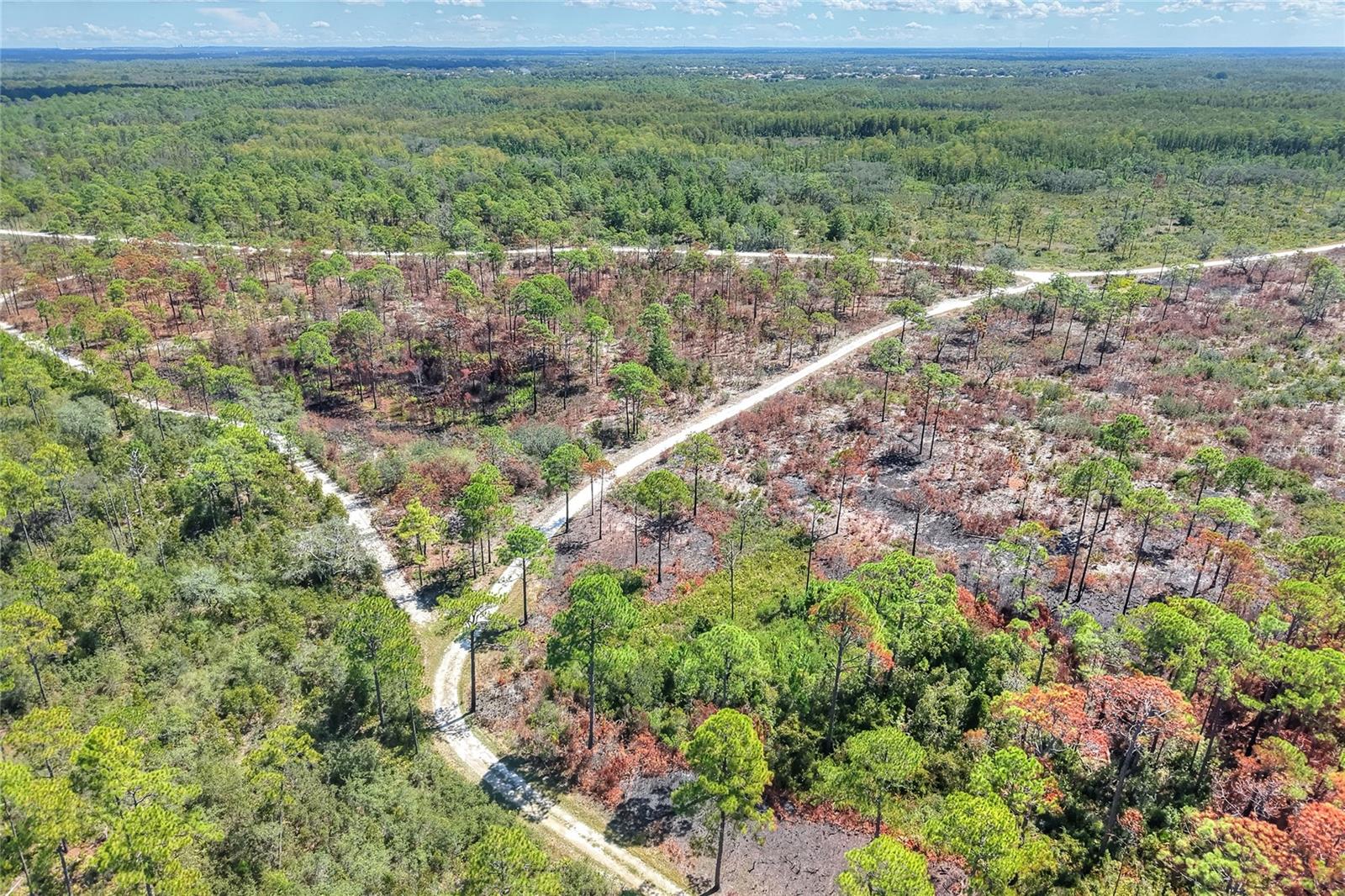 Pine Island Dr Property Photo 4