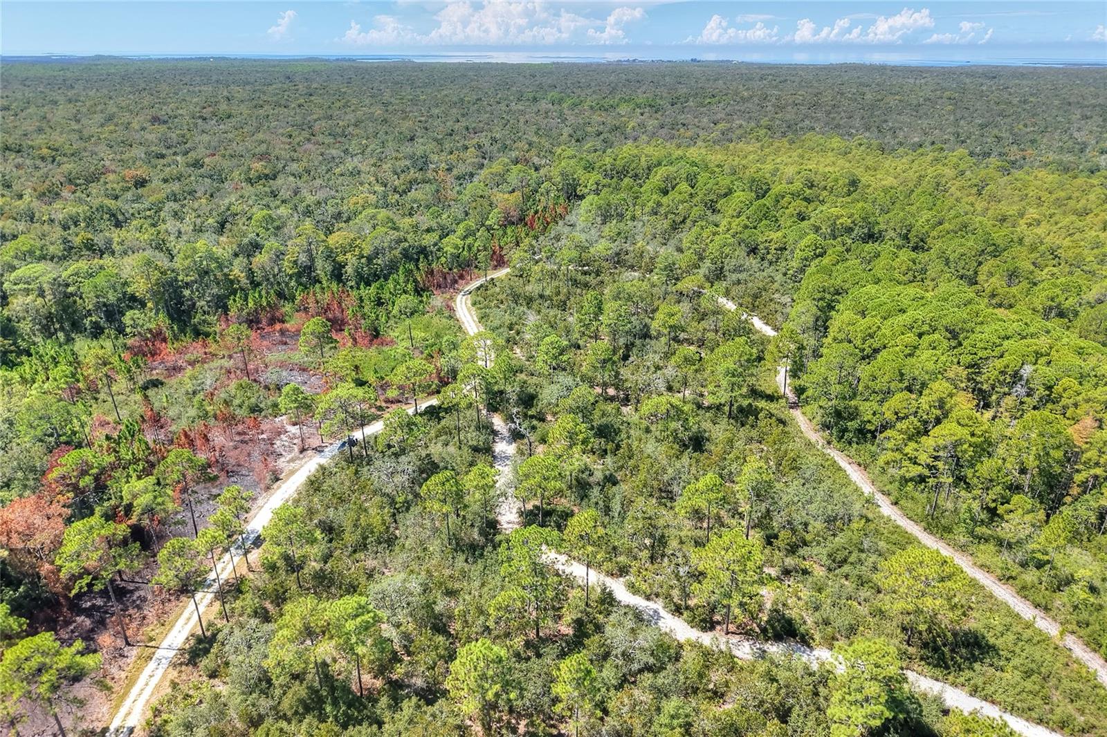 Pine Island Dr Property Photo 5