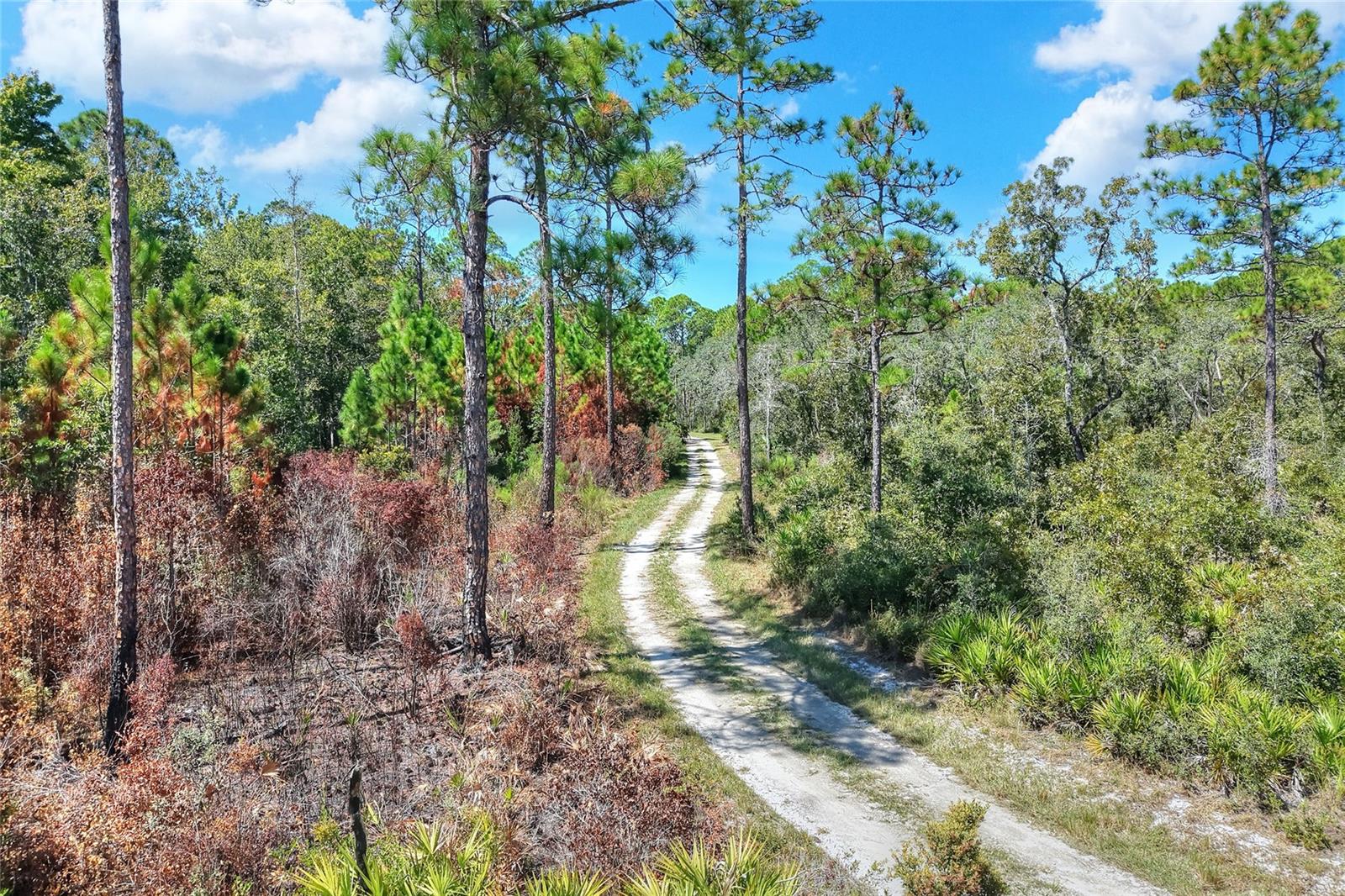 Pine Island Dr Property Photo 6