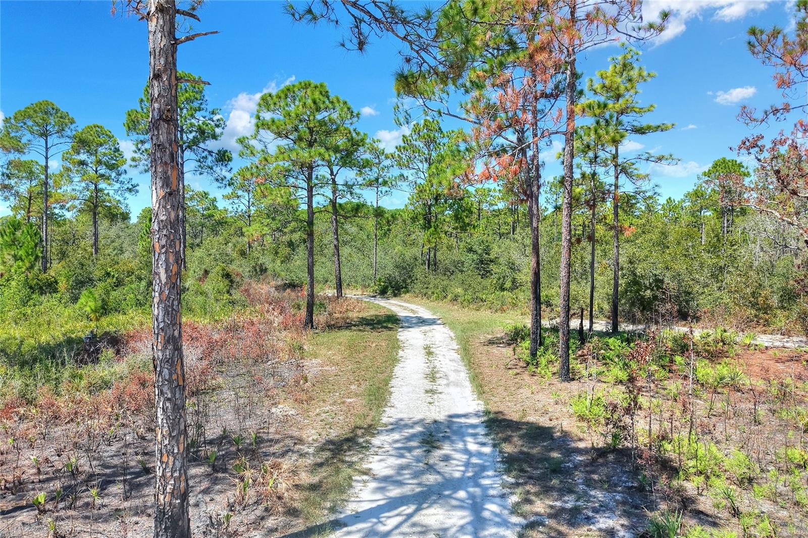 Pine Island Dr Property Photo 8