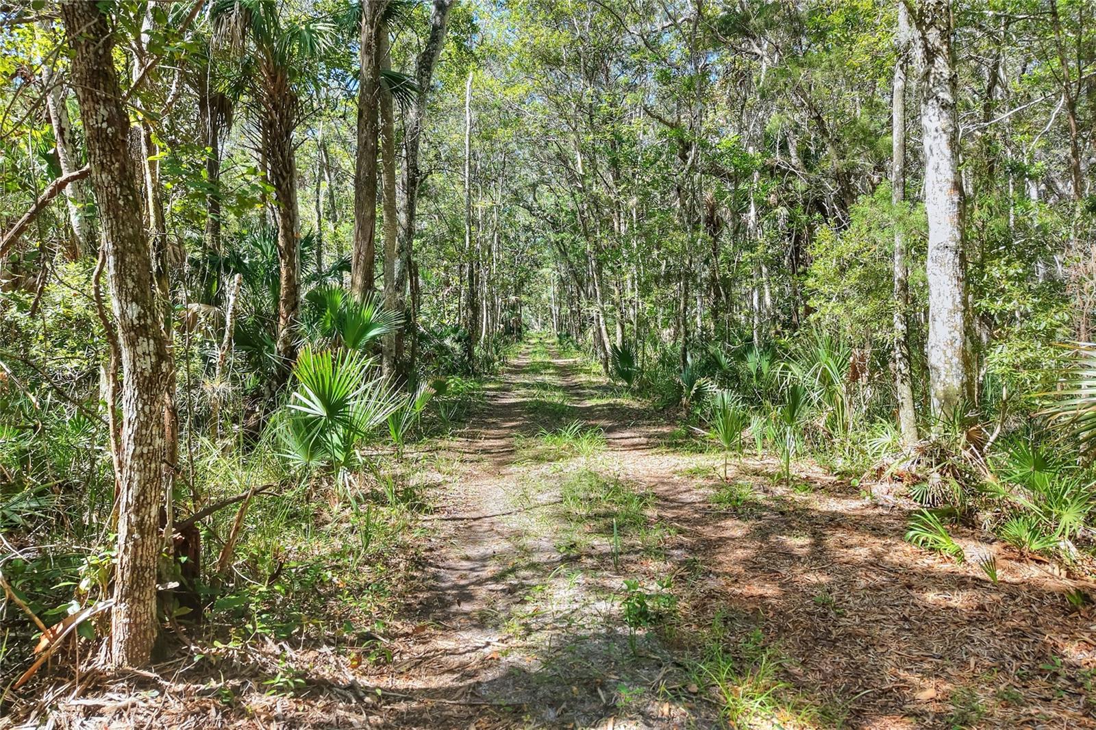 Pine Island Dr Property Photo 9