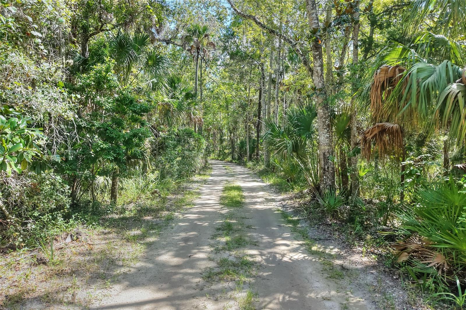 Pine Island Dr Property Photo 10
