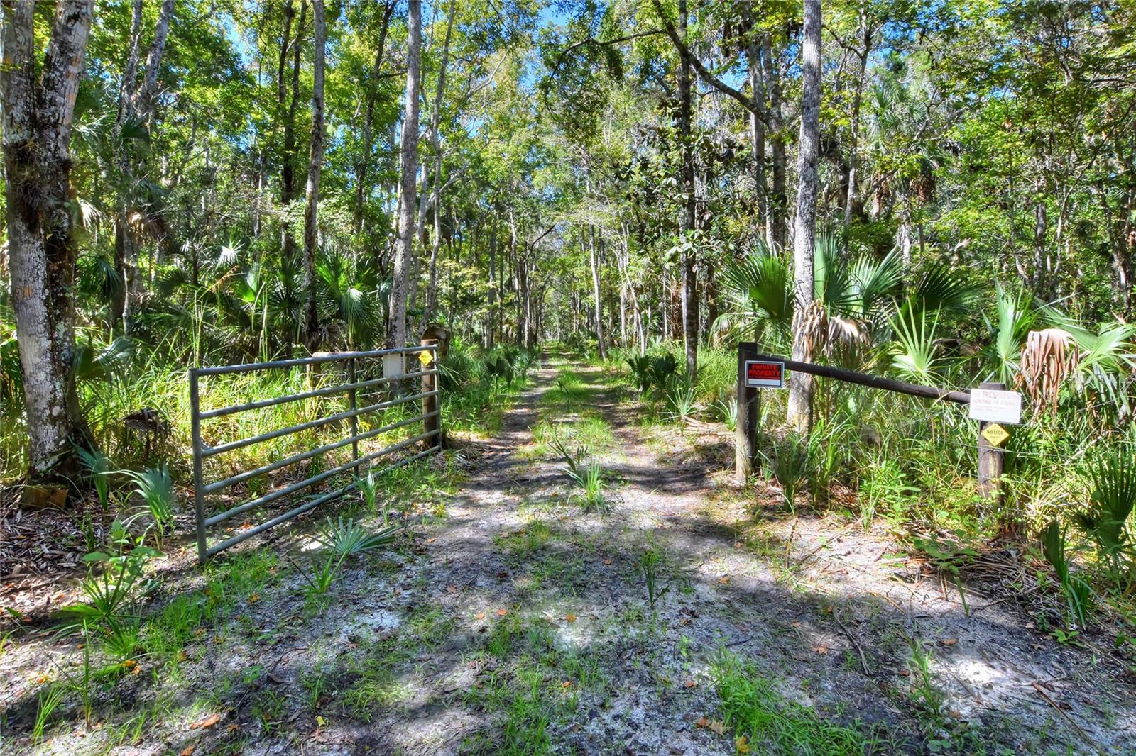 Pine Island Dr Property Photo 11