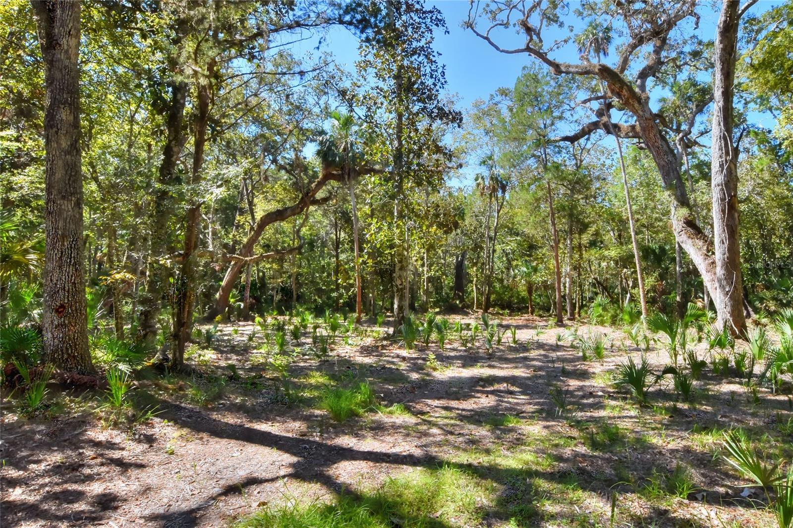 Pine Island Dr Property Photo 12