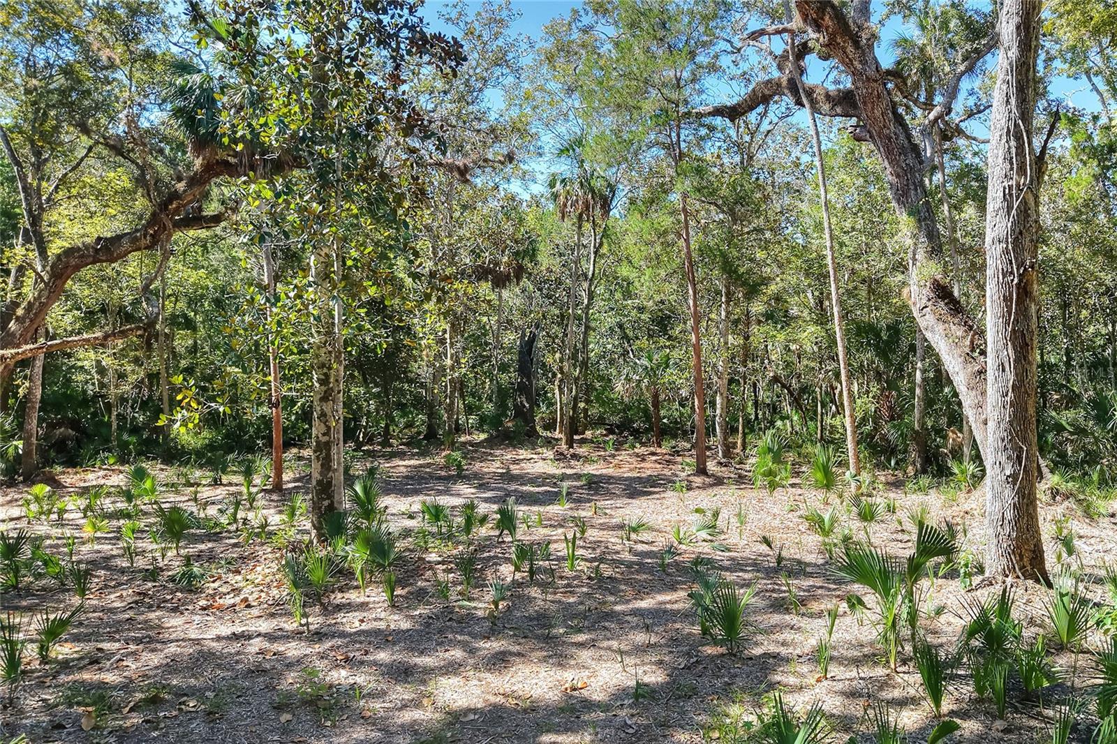 Pine Island Dr Property Photo 13