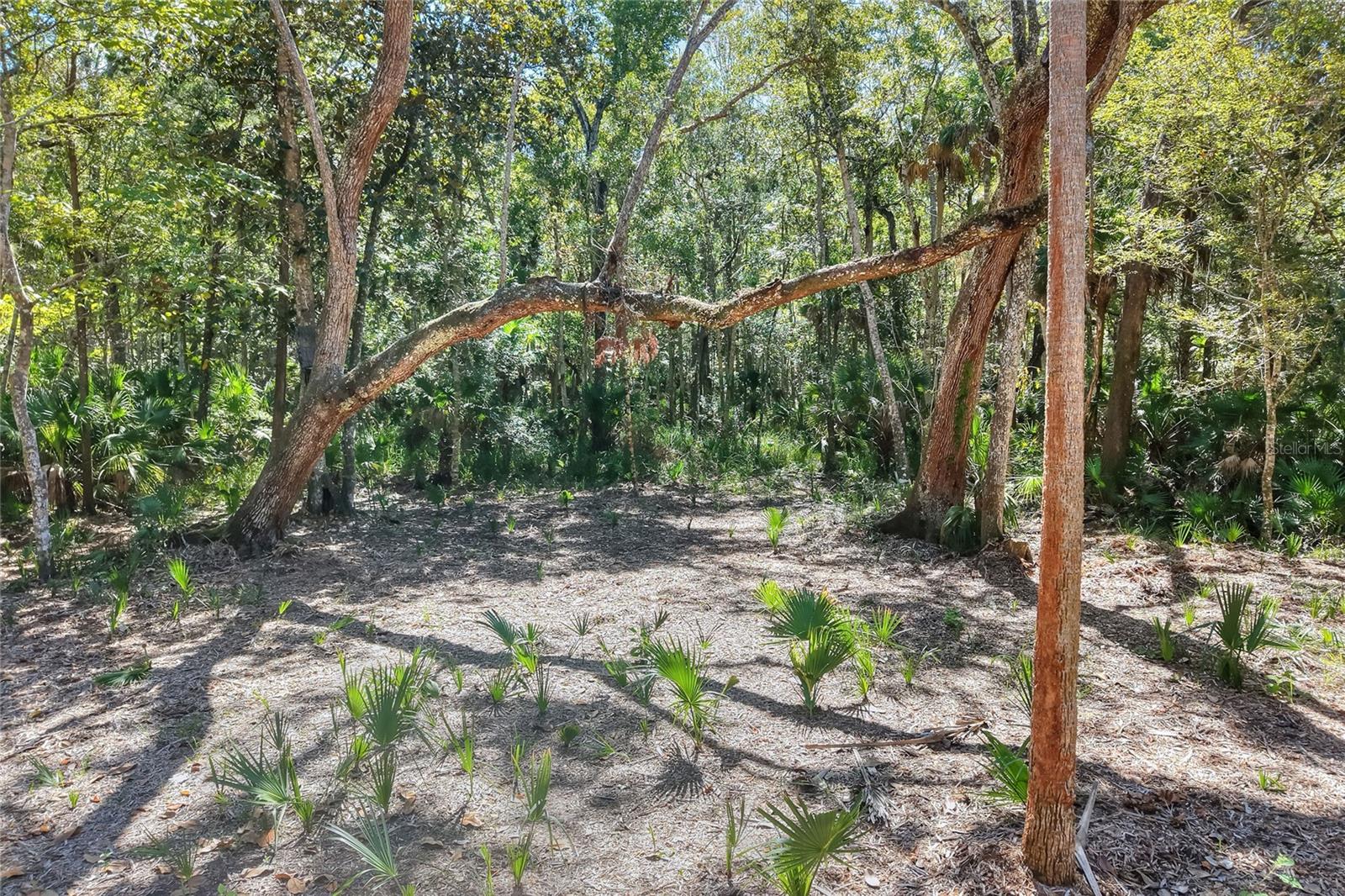 Pine Island Dr Property Photo 14