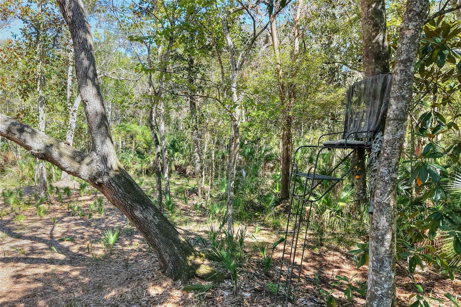 Pine Island Dr Property Photo 17