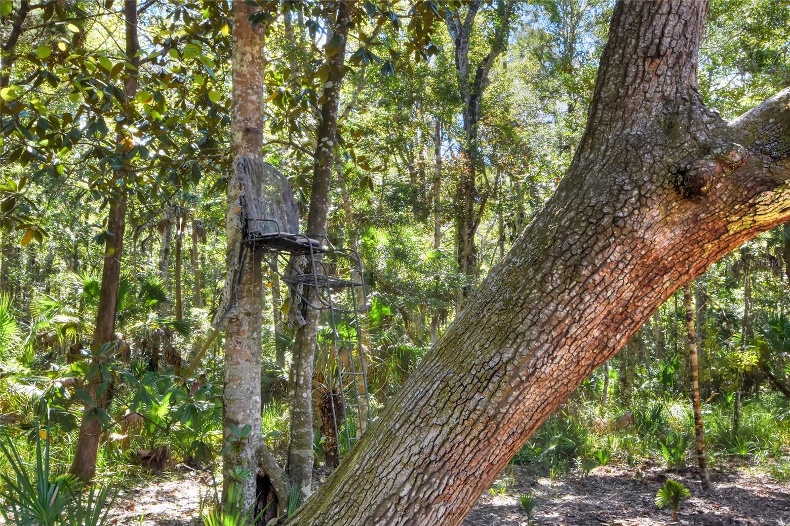 Pine Island Dr Property Photo 18