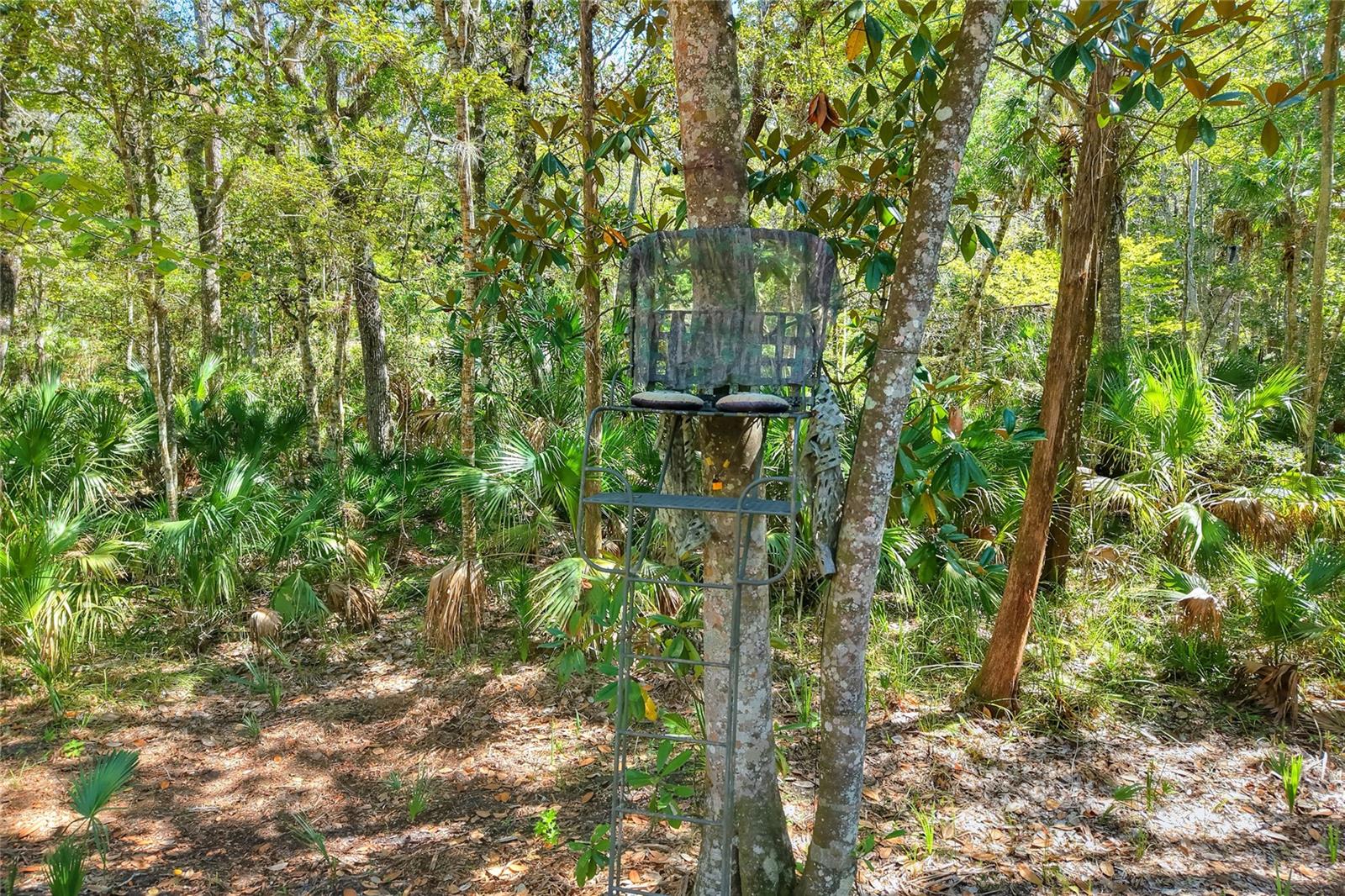 Pine Island Dr Property Photo 21