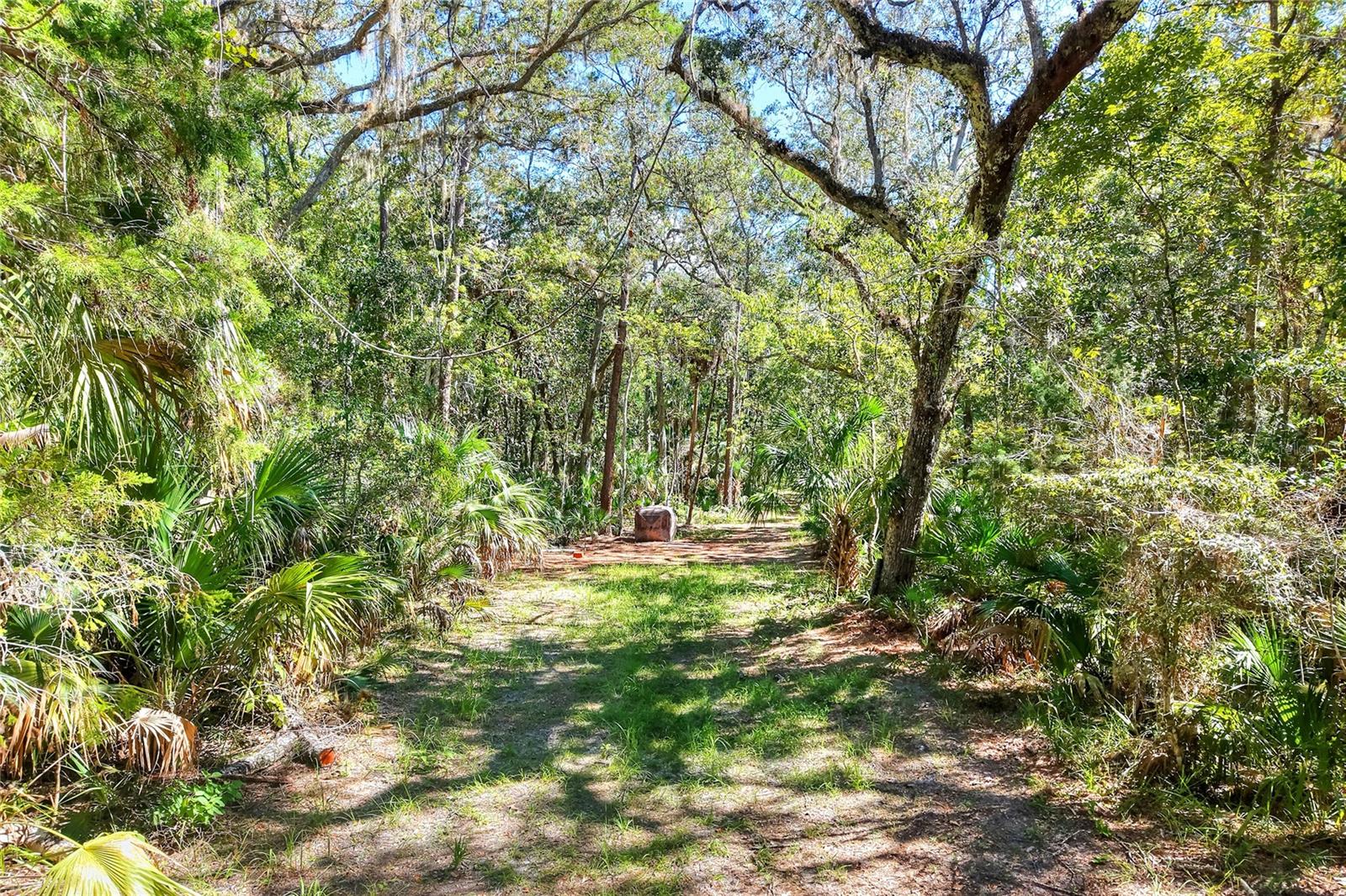Pine Island Dr Property Photo 25