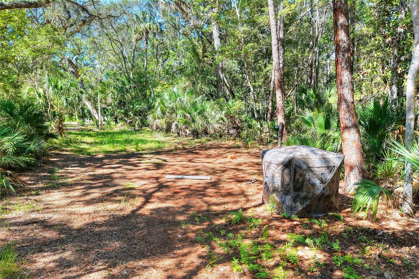 Pine Island Dr Property Photo 27