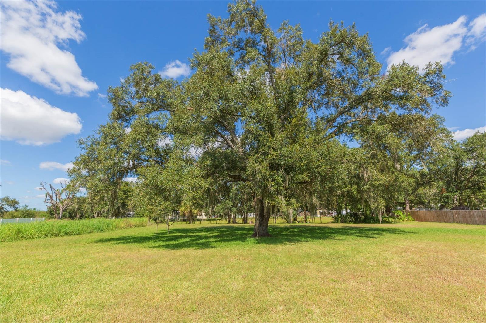 11228 Marlborough Dr Property Photo 30