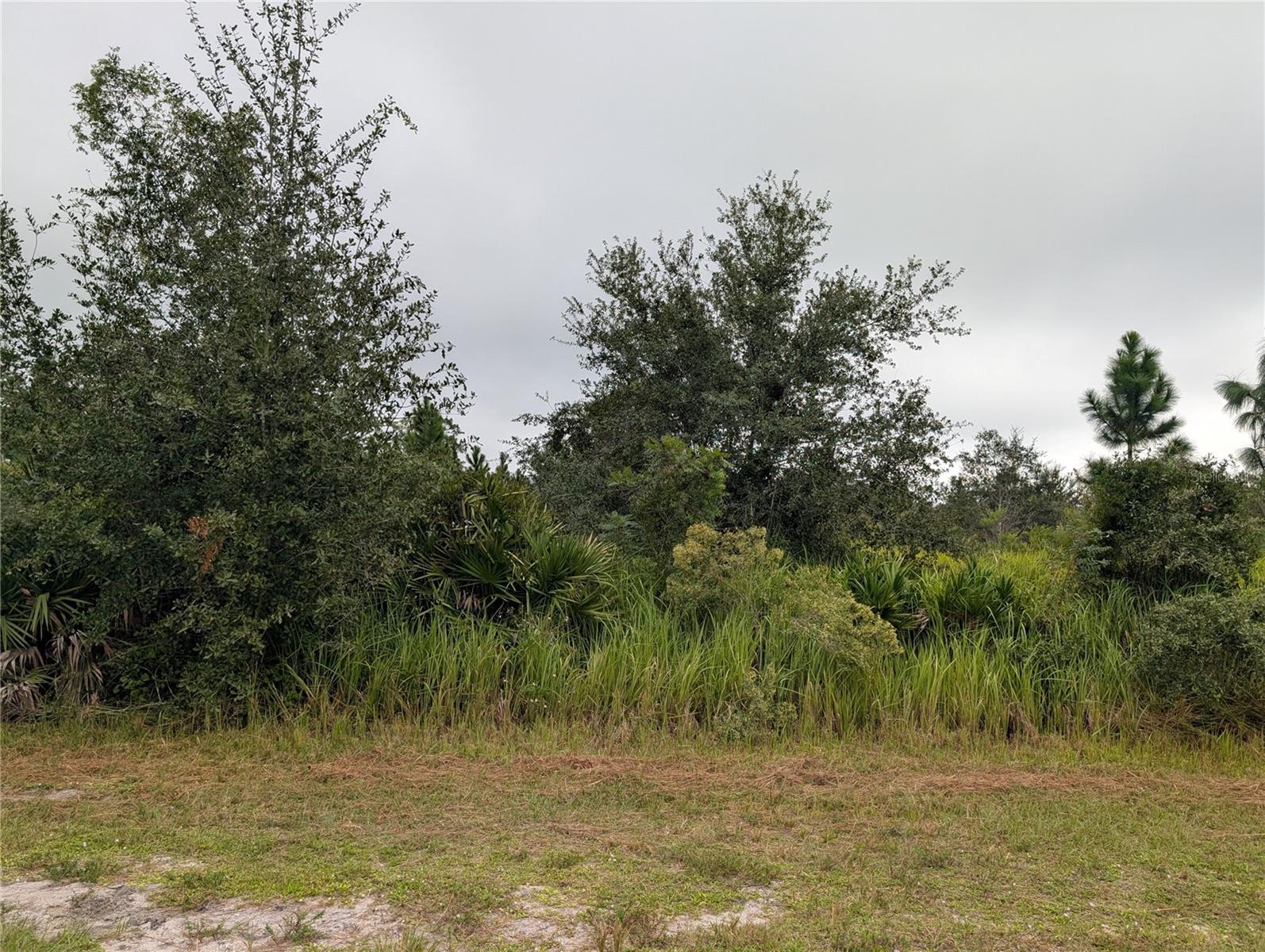 6931 Orlando Dr Property Photo 3