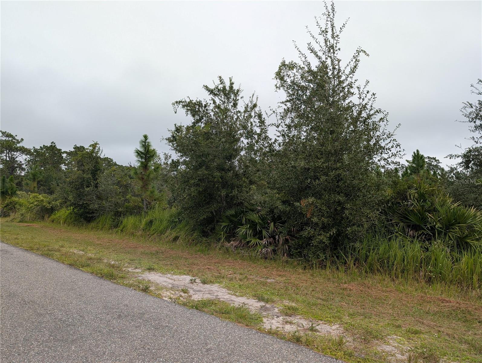 6931 Orlando Dr Property Photo 8
