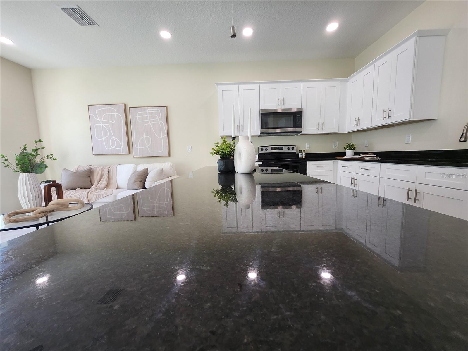 4370 Cambio Gardens Court Property Photo 74