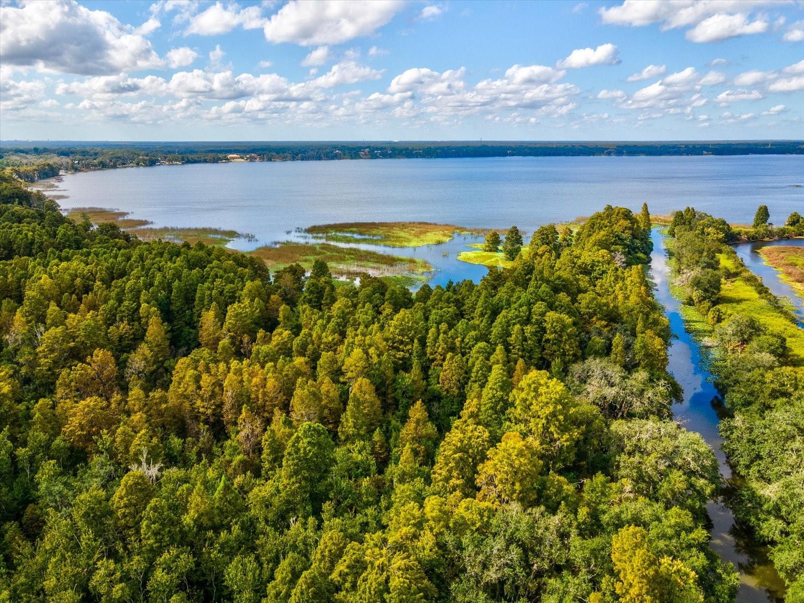 10703 Williams Rd Property Photo 34