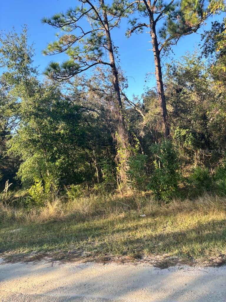 33193 Easter Dr Property Photo 4