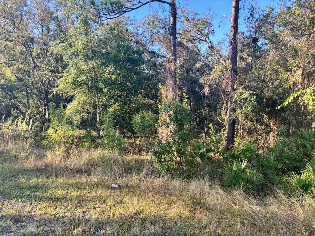 33193 Easter Dr Property Photo 5
